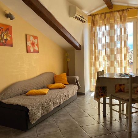 Apartments Tajana Novigrad Istria Buitenkant foto