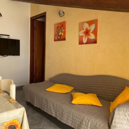Apartments Tajana Novigrad Istria Buitenkant foto
