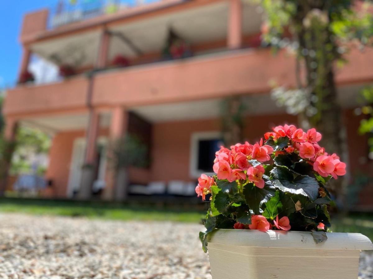 Apartments Tajana Novigrad Istria Buitenkant foto