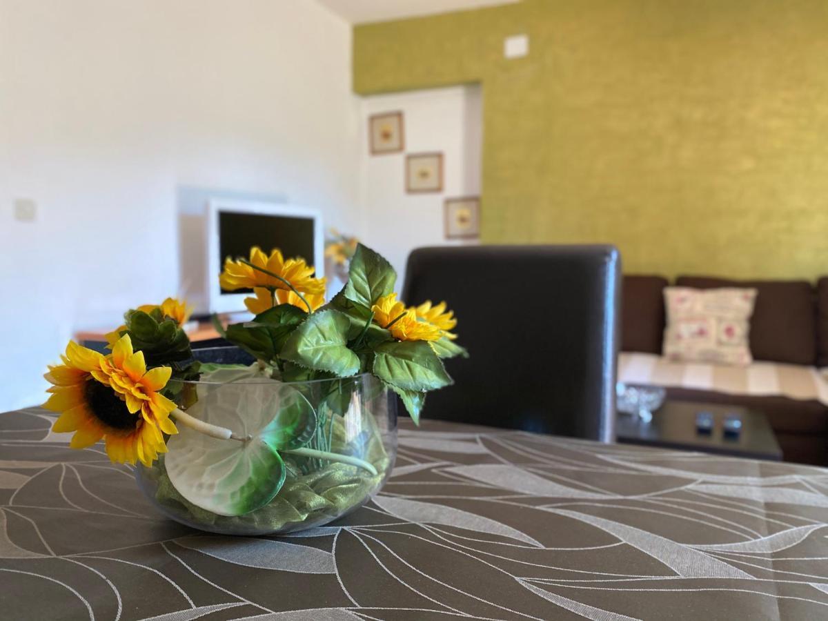 Apartments Tajana Novigrad Istria Buitenkant foto