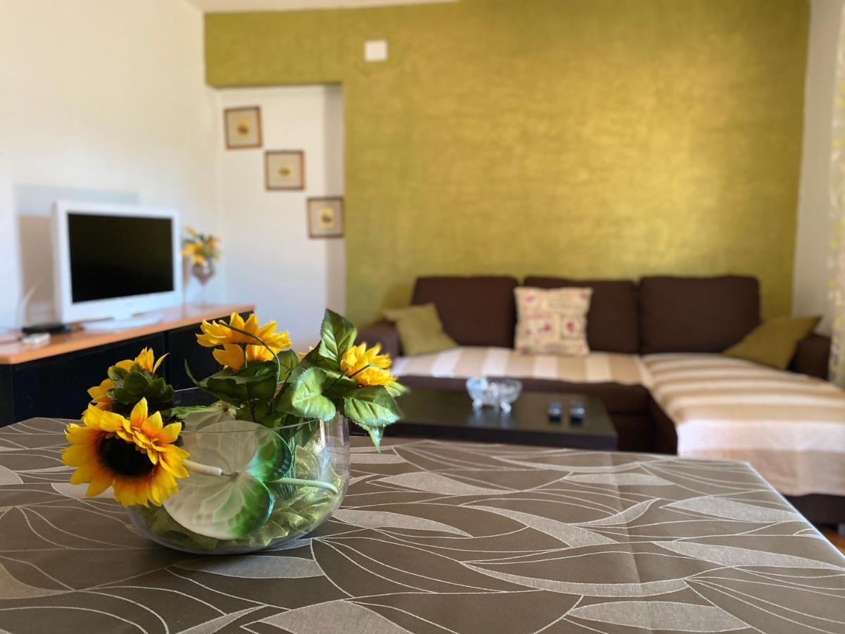 Apartments Tajana Novigrad Istria Buitenkant foto