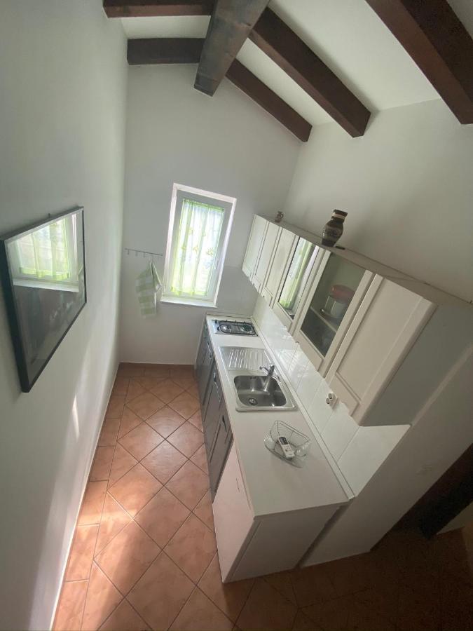 Apartments Tajana Novigrad Istria Buitenkant foto