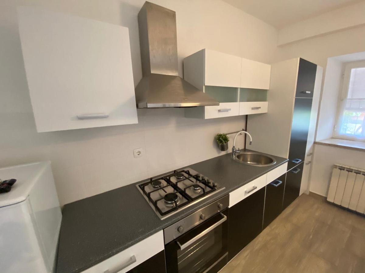 Apartments Tajana Novigrad Istria Buitenkant foto
