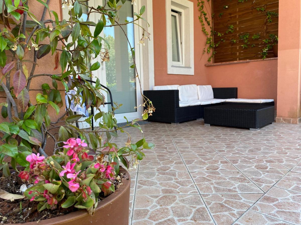 Apartments Tajana Novigrad Istria Buitenkant foto