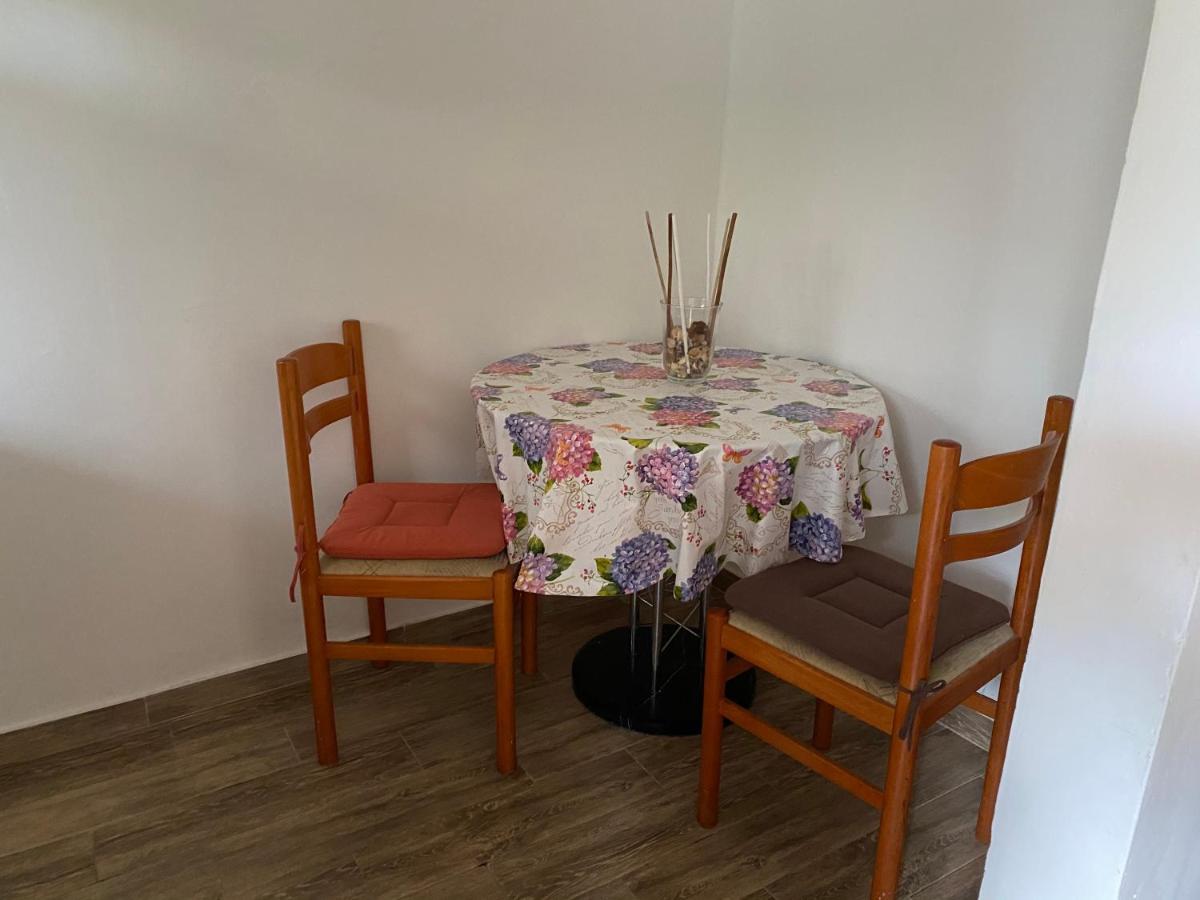 Apartments Tajana Novigrad Istria Buitenkant foto