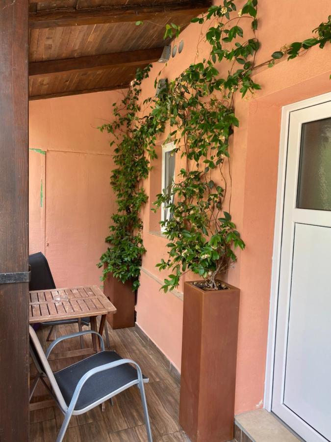 Apartments Tajana Novigrad Istria Buitenkant foto