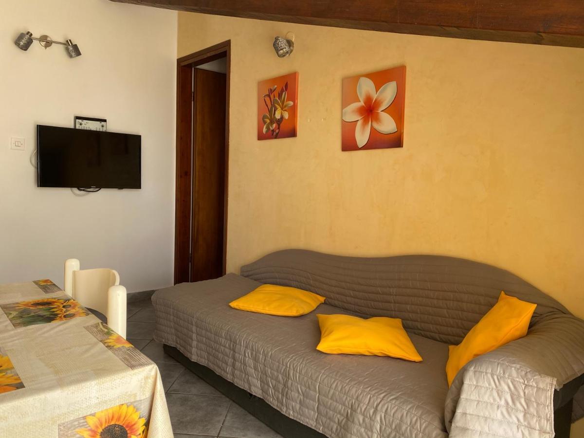 Apartments Tajana Novigrad Istria Buitenkant foto