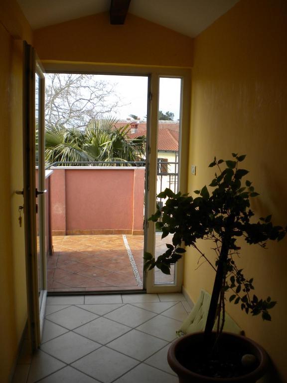 Apartments Tajana Novigrad Istria Kamer foto